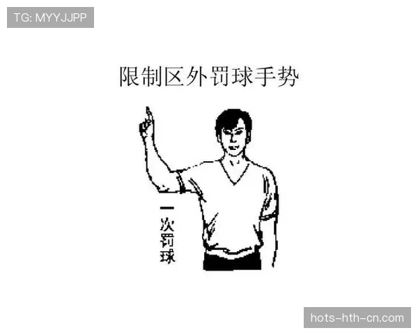 裁判手势图解：常见信号含义与判罚依据